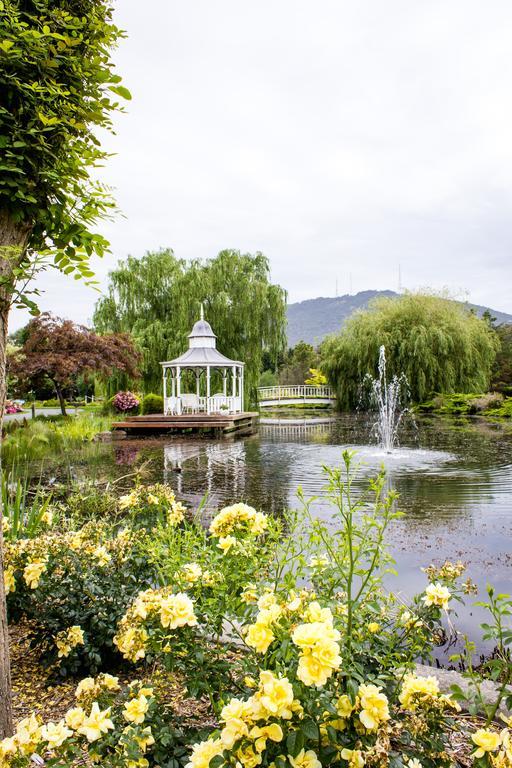 Lakeside Cottage Luxury B&B Mount Dandenong Eksteriør bilde