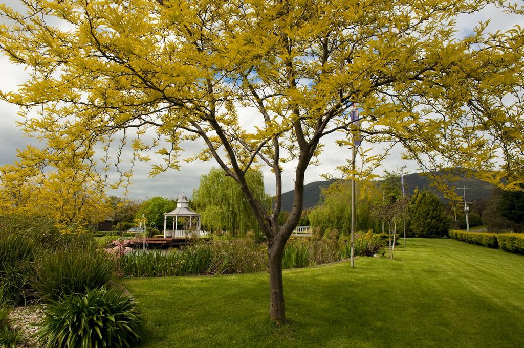 Lakeside Cottage Luxury B&B Mount Dandenong Eksteriør bilde