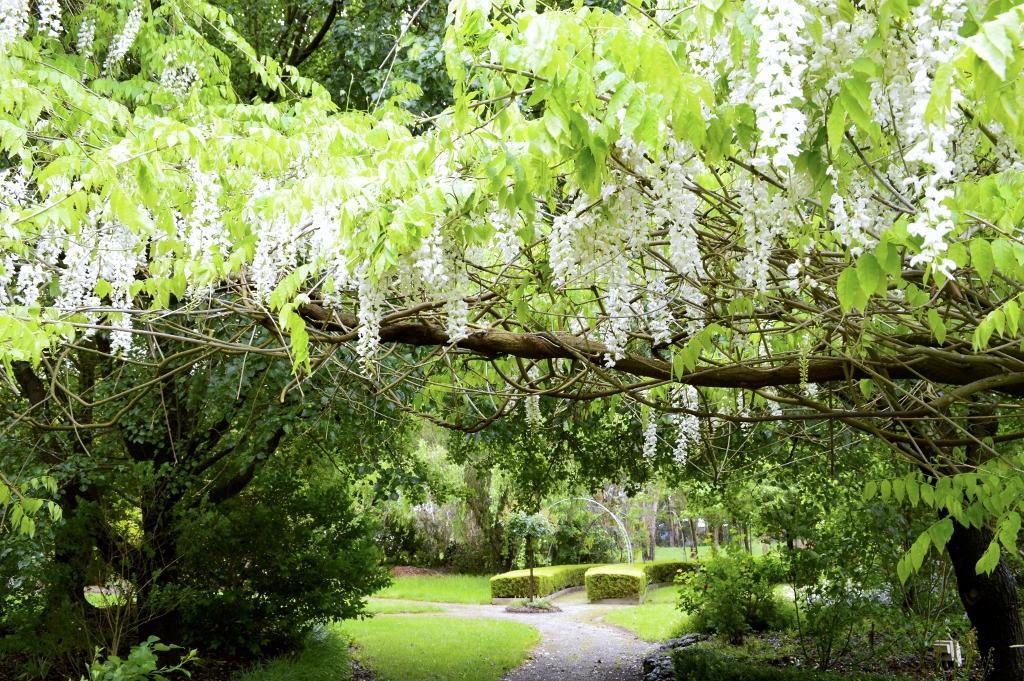 Lakeside Cottage Luxury B&B Mount Dandenong Eksteriør bilde